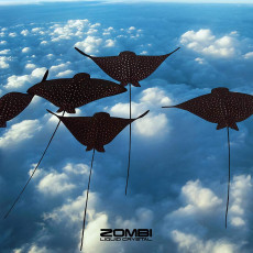 LP / Zombi / Liquid Crystal / Vinyl