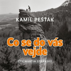 CD / Pek Kamil / Co se do vs vejde / Strnsk M. / MP3