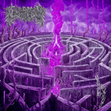 LP / Civerous / Maze Envy / Coloured / Vinyl