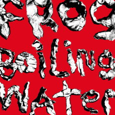 LP / DIIV / Frog In Boiling Water / Vinyl