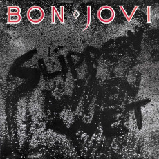 2CD / Bon Jovi / Slippery When Wet / 2CD