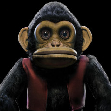 LP / Breemen Edo Van / Monkey / Coloured / Vinyl