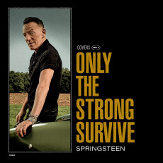 2LP / Springsteen Bruce / Only The Strong Survive / Vinyl / 2LP