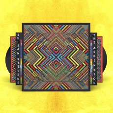 2LP / Stevens Sufjan / Ascension / Vinyl / 2LP