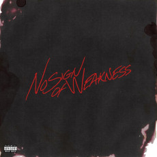 LP / Burna Boy / No Sign Of Weakness / Limited / Blue / Vinyl