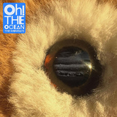 LP / Wombats / Oh! The Ocean / Clear / Vinyl