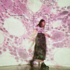 LP / Soccer Mommy / Sometimes,Forever / Vinyl