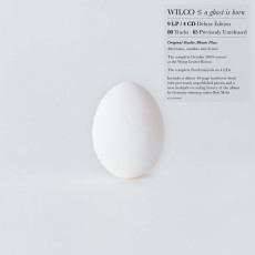 LP/CD / Wilco / Ghost Is Born / Box / Vinyl / 9LP+4CD