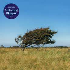 LP / Riis Bjorn / A Fleeting Glimpse / Transparent Blue / Vinyl