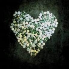 CD/DVD / Alkaline Trio / This Addiction / CD+DVD