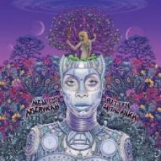 CD / Badu Erykah / New Amerikah Part Two:Return Of The Ankh