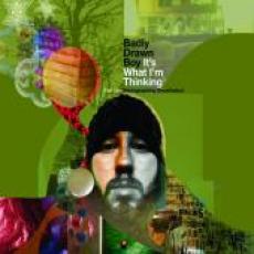 2CD / Badly Drawn Boy / It's What I'm Thinking / Limited / 2CD