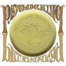 2CD / Young Neil / Psychedelic Pill / Digipack / 2CD