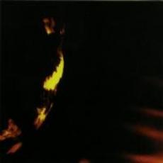 CD / Skepticism / Stormcrowfleet