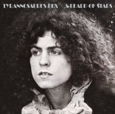 CD / T.Rex / A Beard Of Stars