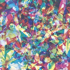 CD / Caribou / Our Love