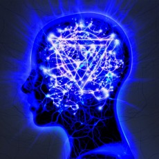 CD/DVD / Enter Shikari / Mindsweep / CD+DVD / Limited