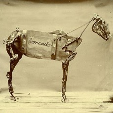 LP / Stokes Chadwick / Horse Comanche / Vinyl