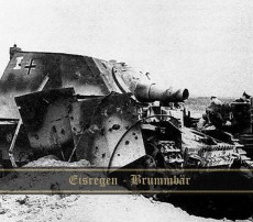 CD / Eisregen / Brummbar