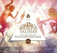 2CD / Various / Pure Salinas No.6 / By DJ Zappi From Ibiza / 2CD