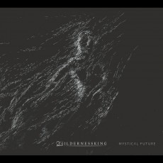 CD / Wildernessking / Mystical Future