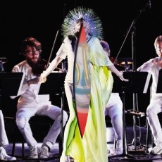 CD / Bjork / Vulnicura Strings / Digipack