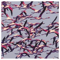 CD / Deftones / Gore / Digisleeve