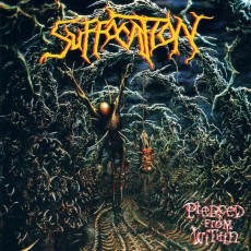 LP / Suffocation / Pierced From Within / Coloured / Vinyl / Reedice
