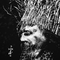 2CD/DVD / Negura Bunget / ZI / Limited / Artbook / 2CD+DVD