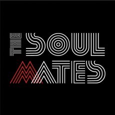 LP / ustr Dan & Vintrov Zuzana / Soulmates Tribute Project / Vinyl