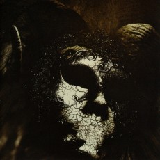CD / Sheidim / Shrines Of The Void