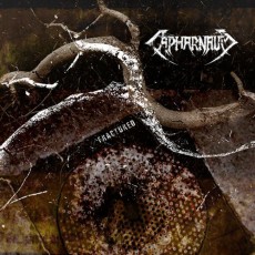 CD / Capharnaum / Fractured