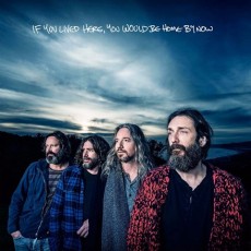 CD / Robinson Chris Brotherhood / If You Lived Here,You ...