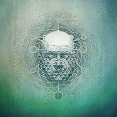 LP / 22 / You Are Creating:Limb1 / Vinyl