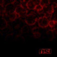 2LP / OSI / Blood / Vinyl / 2LP