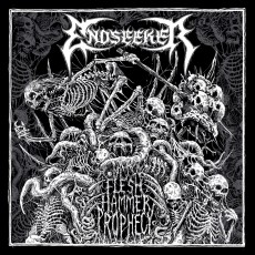 LP / Endseeker / Flesh Hammer Prophecy / Vinyl