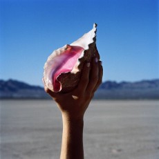 CD / Killers / Wonderful Wonderful