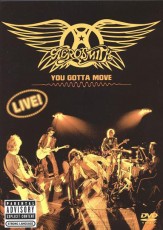 DVD/CD / Aerosmith / You Gotta Move / DVD+CD
