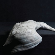 CD / Amenra / Mass VI