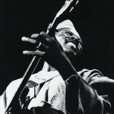 2LP / Toure Ali Farka / Source / Special Edition / Vinyl / 2LP