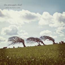 CD / Pineapple Thief / What We Have Sown / Reedice 2018 / Digipack