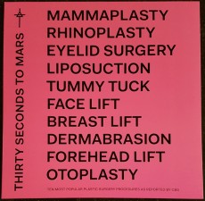 LP / 30 Seconds To Mars / America / Vinyl