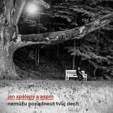 LP / Splen Jan & ASPM / Nemu popadnout tvj dech / Vinyl
