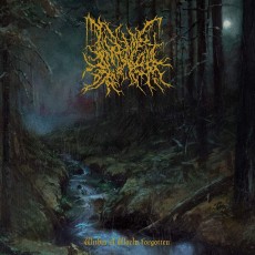 LP / Infernal Coil / Within a World Forgotten / Vinyl