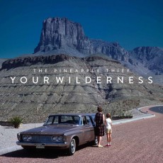 LP / Pineapple Thief / Your Wilderness / Vinyl / Reedice