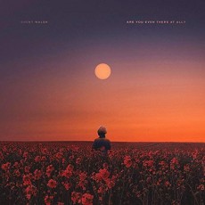 CD / Walsh Brent / Are You Even There At All / Digipack
