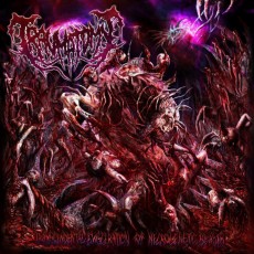 LP / Traumatomy / Transcendental Evisceration... / Vinyl