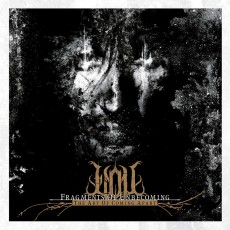 LP / Fragments Of Unbecoming / Art Of Coming Apart / Vinyl
