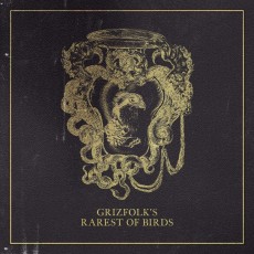 LP / Grizfolk / Rarest of Birds / Vinyl