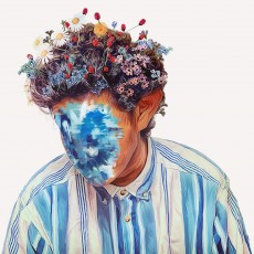 CD / Hobo Johnson / Fall Of Hobo Johnson